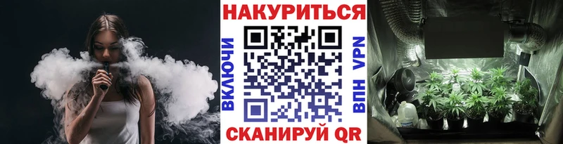 Конопля гибрид  Купить где  Медногорск 